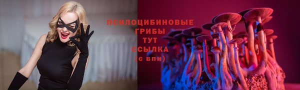 дмт Баксан