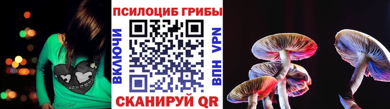 Псилоцибиновые грибы Psilocybine cubensis  цена   Чапаевск 